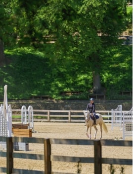 Person riding a white horse in an outdoor equestrian arena surrounded by green trees.